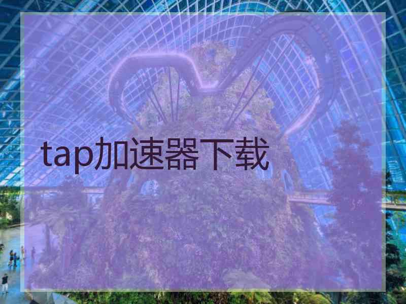 tap加速器下载