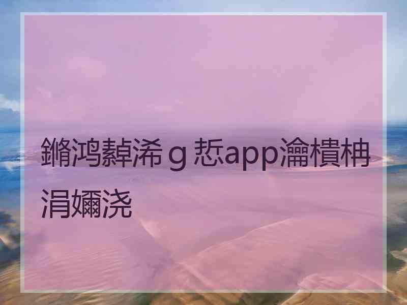 鏅鸿繛浠ｇ悊app瀹樻柟涓嬭浇