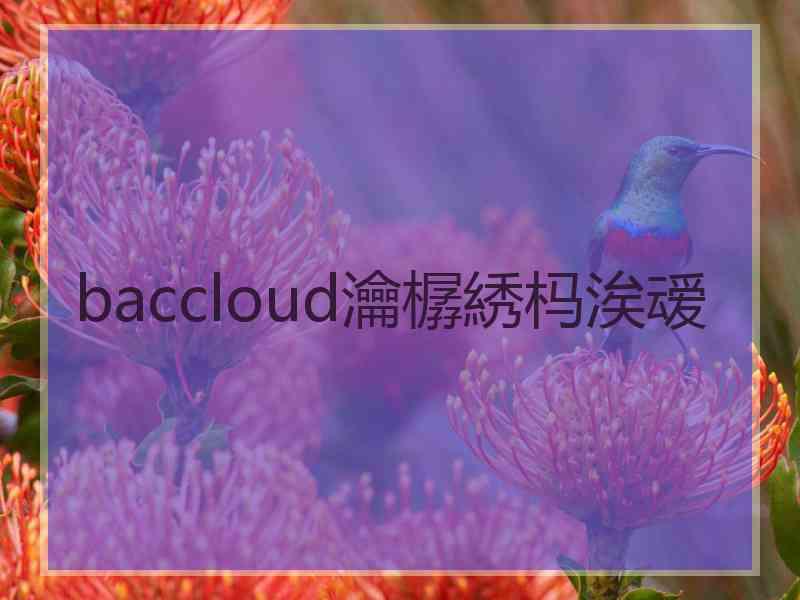 baccloud瀹樼綉杩涘叆