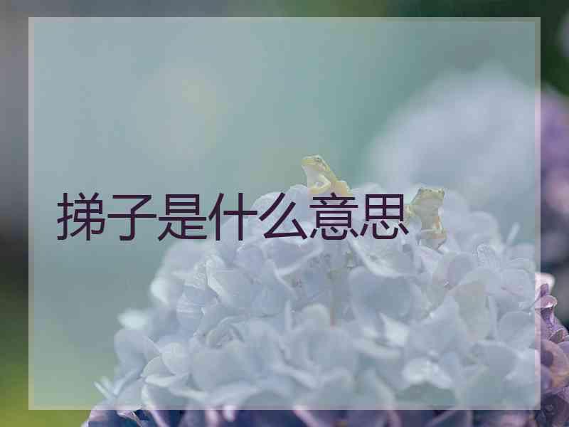 挮子是什么意思