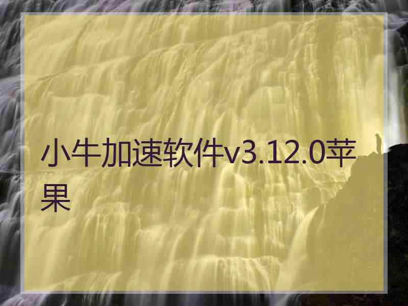 小牛加速软件v3.12.0苹果