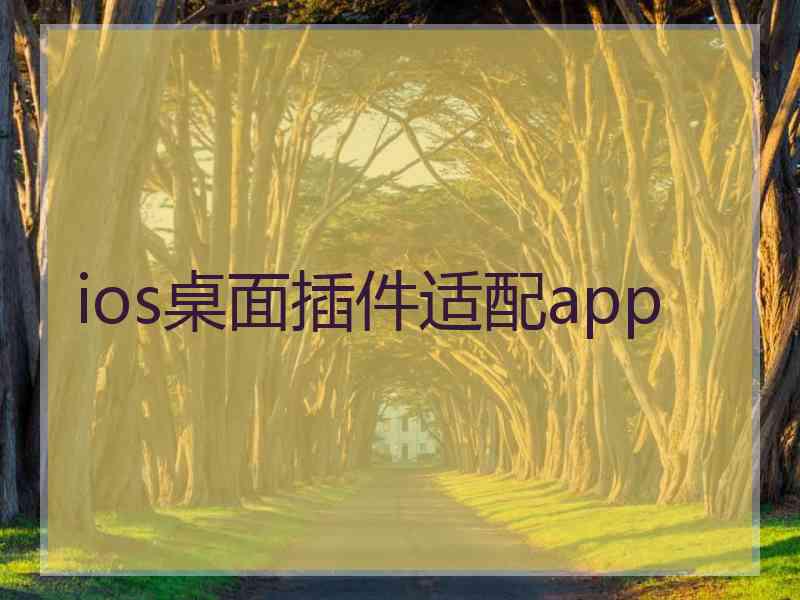 ios桌面插件适配app