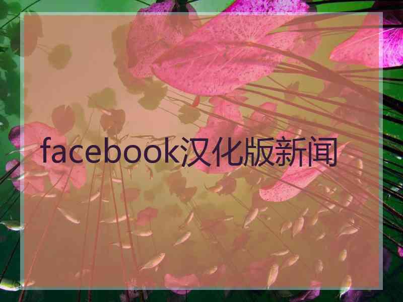 facebook汉化版新闻