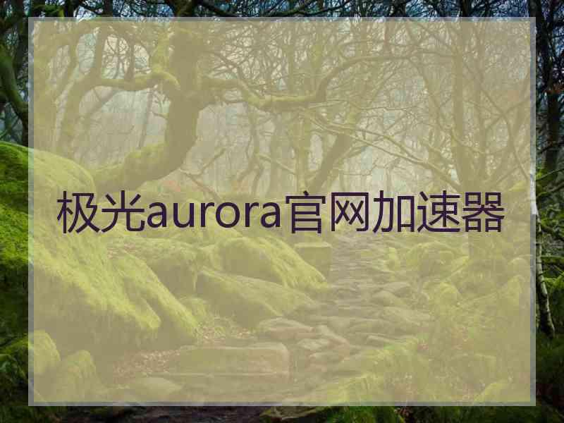 极光aurora官网加速器