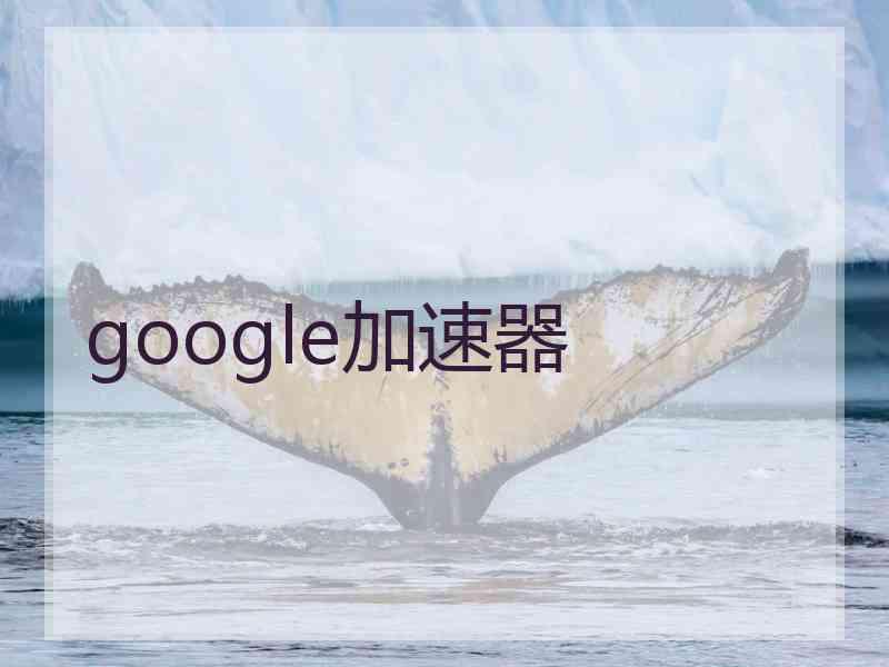 google加速器