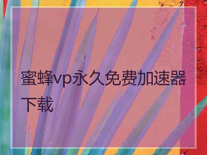 蜜蜂vp永久免费加速器下载