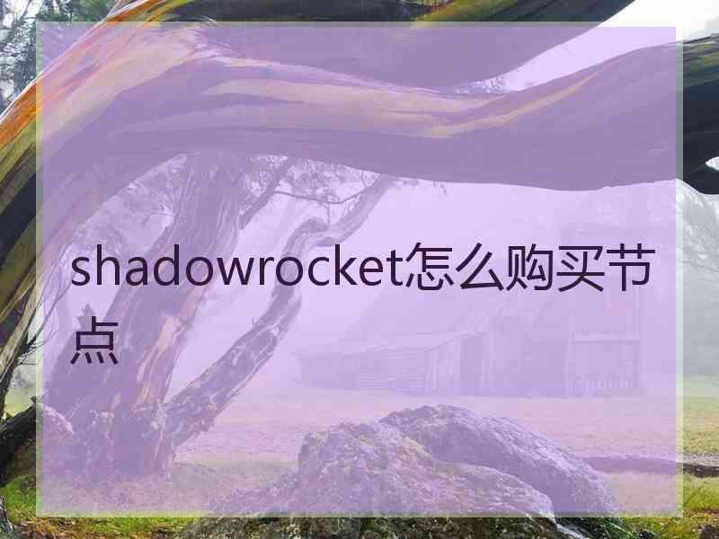 shadowrocket怎么购买节点