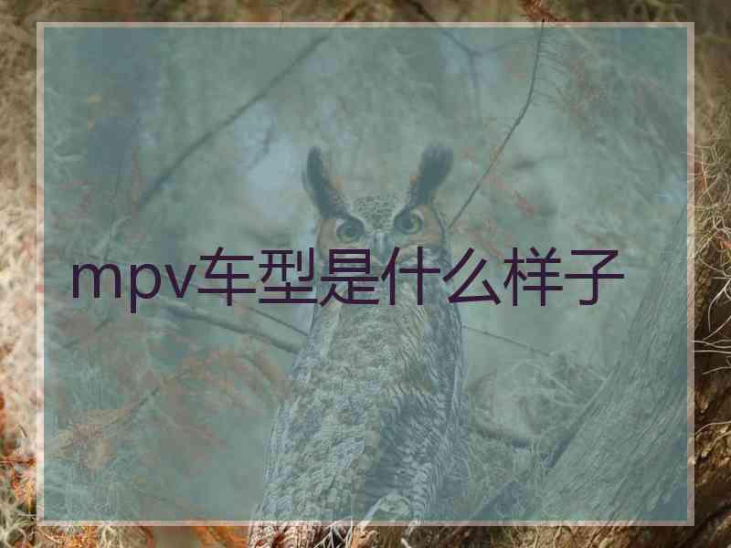 mpv车型是什么样子