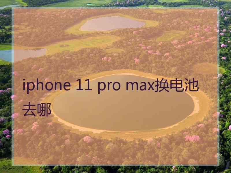 iphone 11 pro max换电池去哪