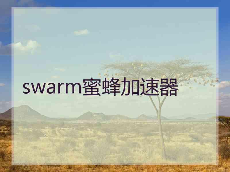 swarm蜜蜂加速器