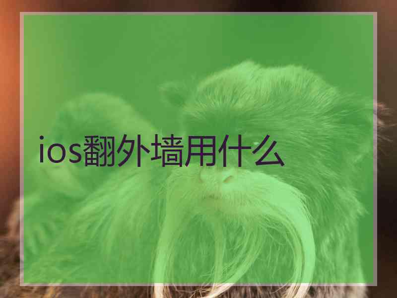 ios翻外墙用什么