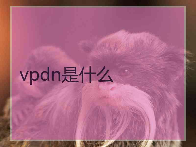 vpdn是什么