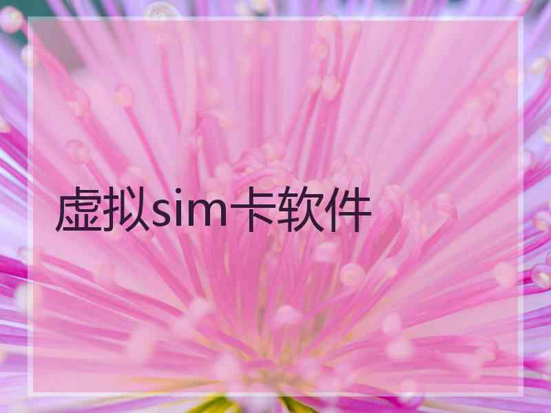 虚拟sim卡软件