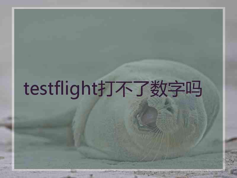 testflight打不了数字吗