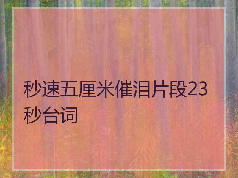 秒速五厘米催泪片段23秒台词