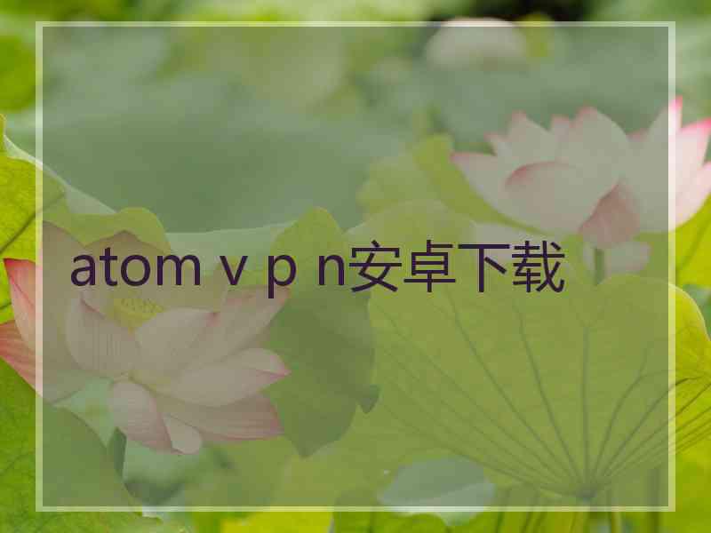 atom v p n安卓下载