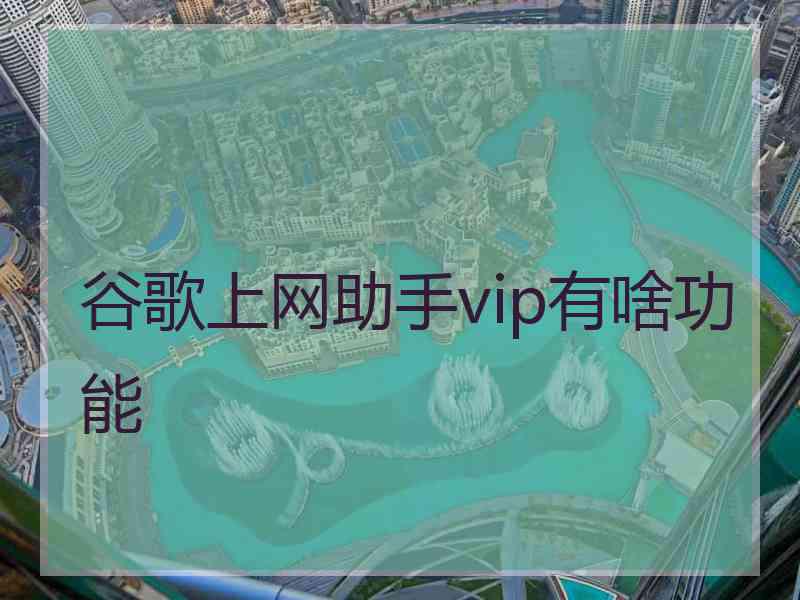 谷歌上网助手vip有啥功能