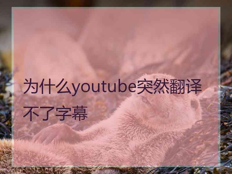 为什么youtube突然翻译不了字幕