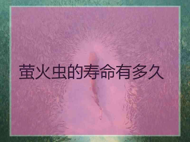 萤火虫的寿命有多久