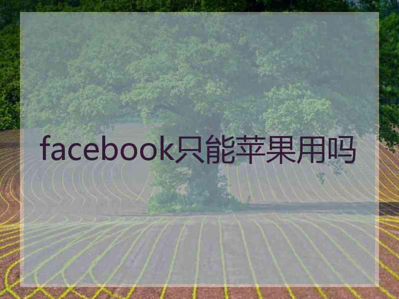 facebook只能苹果用吗