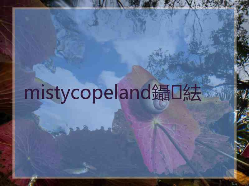 mistycopeland鑷紶