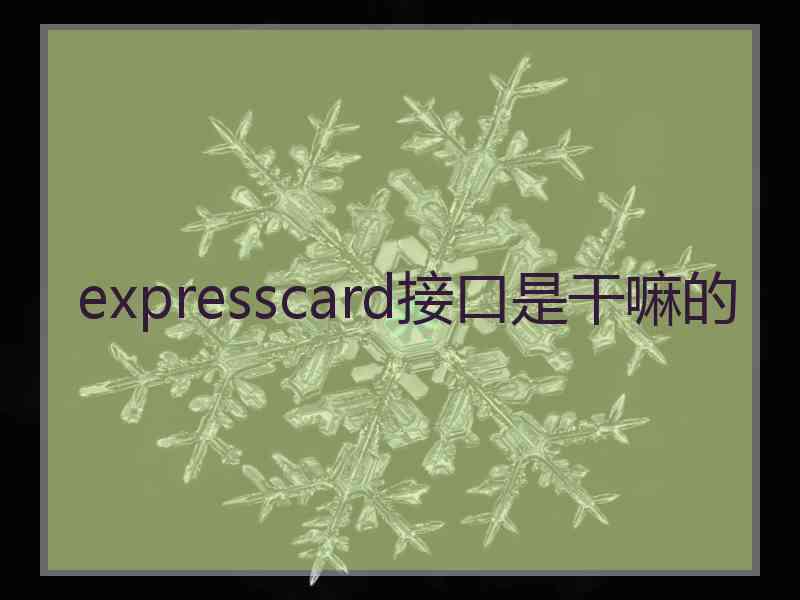 expresscard接口是干嘛的