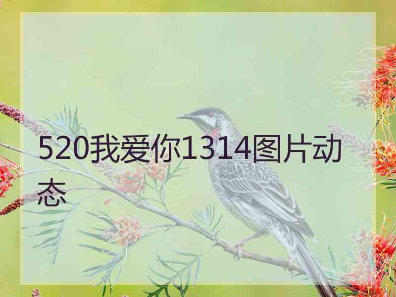 520我爱你1314图片动态