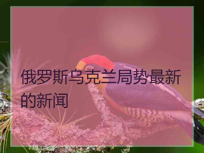 俄罗斯乌克兰局势最新的新闻