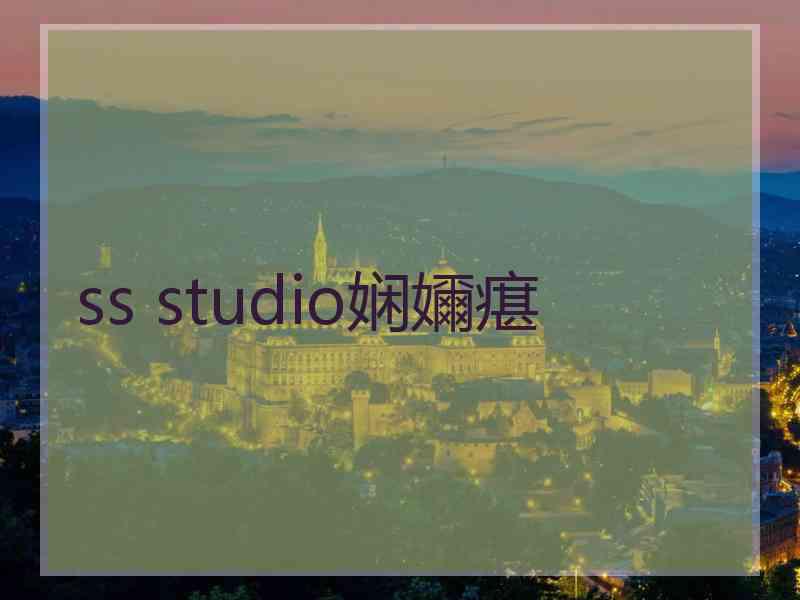 ss studio娴嬭瘎