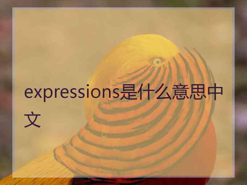 expressions是什么意思中文