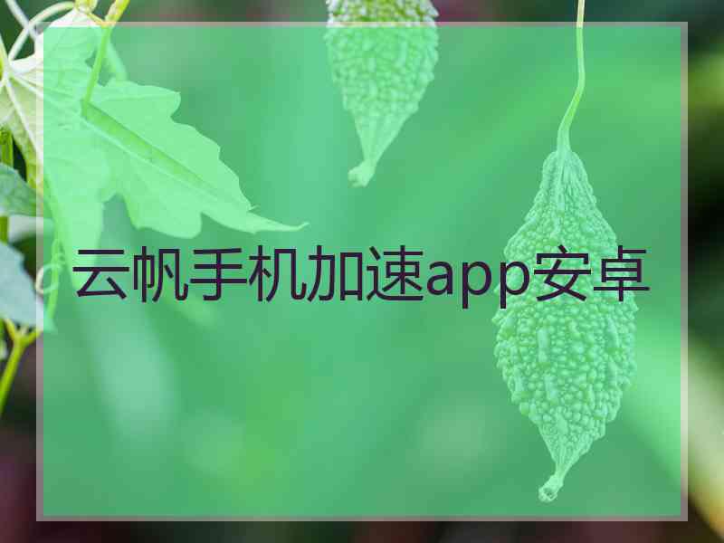 云帆手机加速app安卓