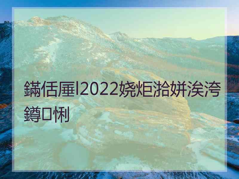 鏋佸厜l2022娆炬湁姘涘洿鐏悧