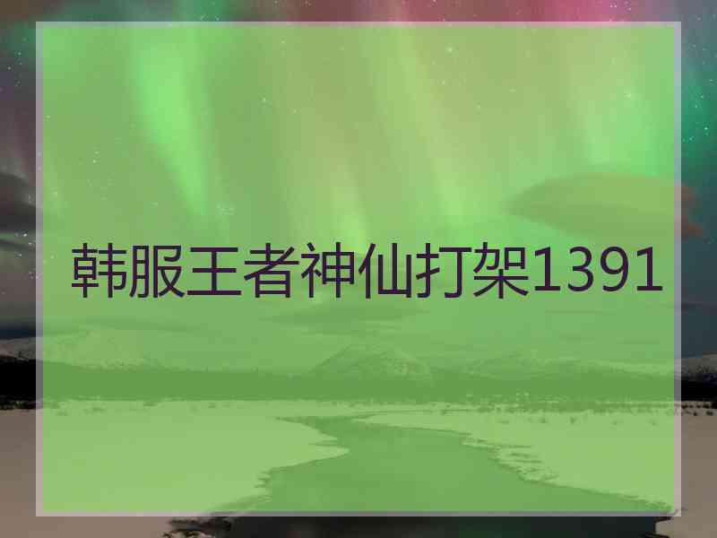 韩服王者神仙打架1391