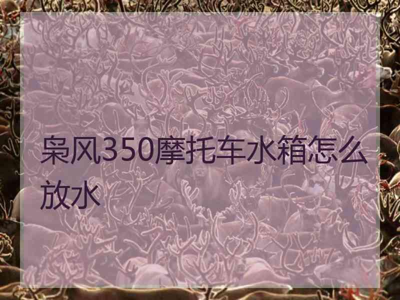 枭风350摩托车水箱怎么放水