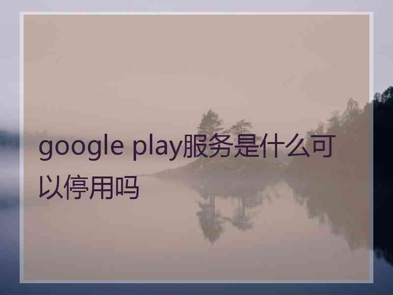 google play服务是什么可以停用吗