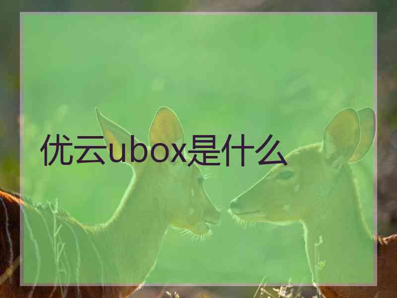 优云ubox是什么