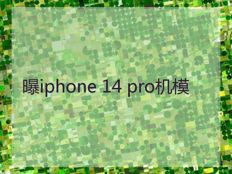 曝iphone 14 pro机模