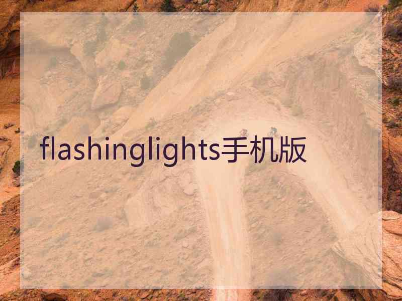 flashinglights手机版