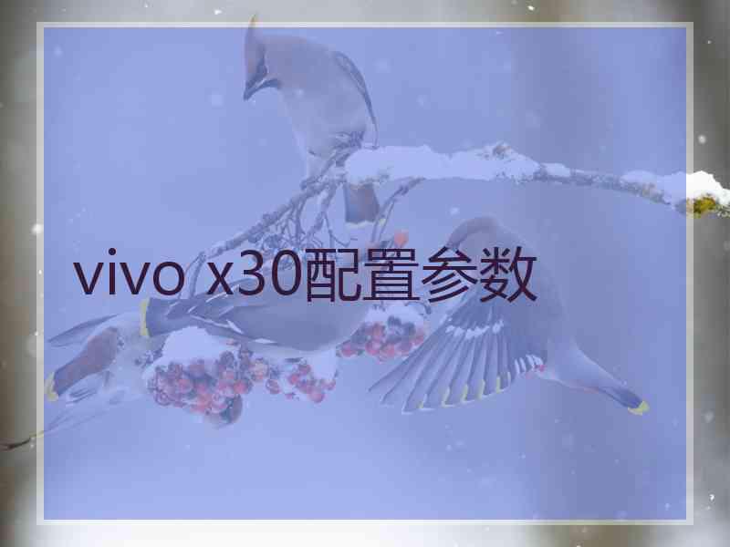 vivo x30配置参数