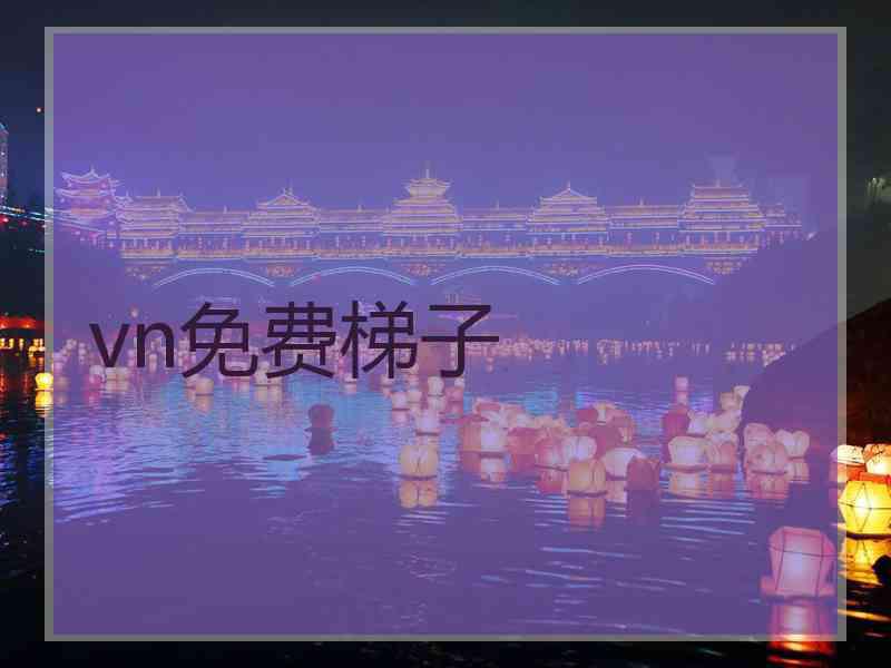 vn免费梯子