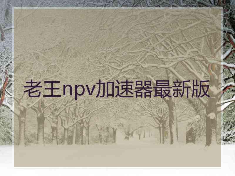 老王npv加速器最新版