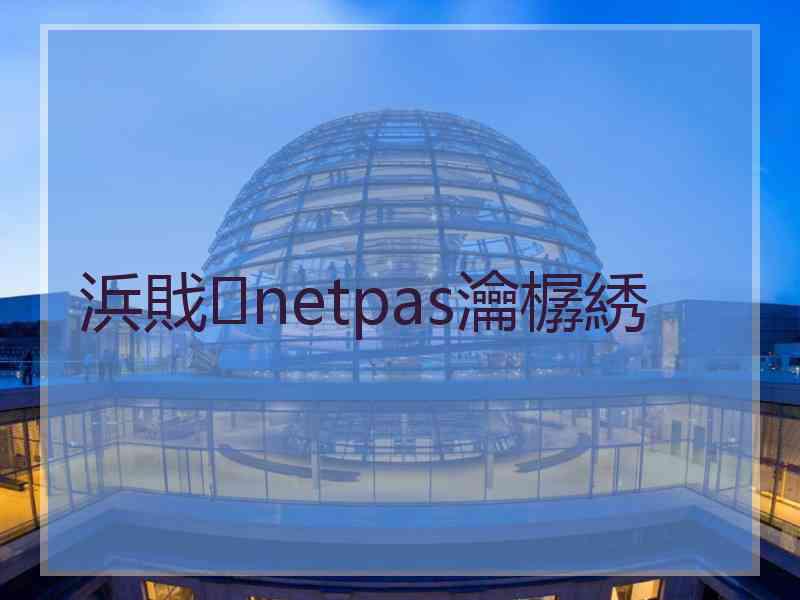 浜戝netpas瀹樼綉