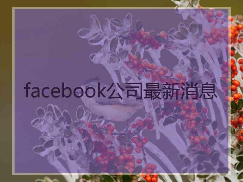 facebook公司最新消息