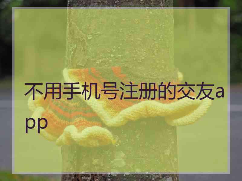 不用手机号注册的交友app