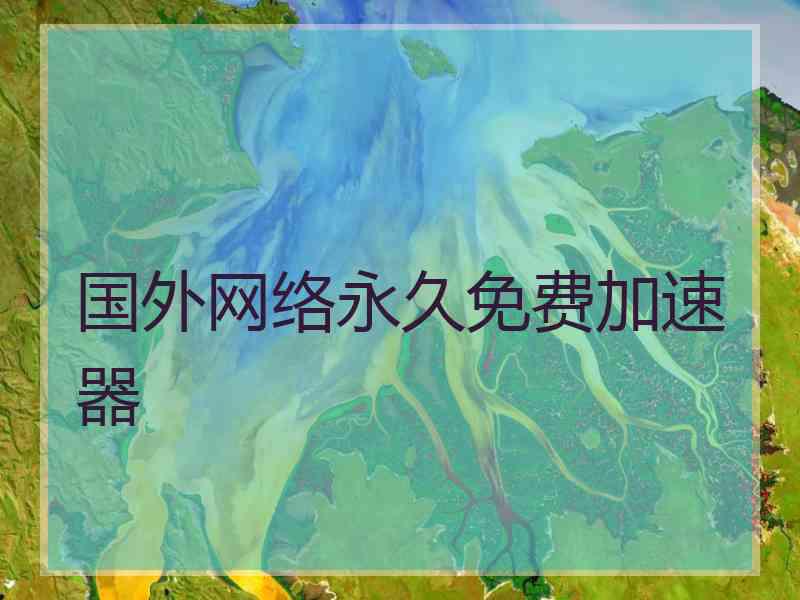 国外网络永久免费加速器