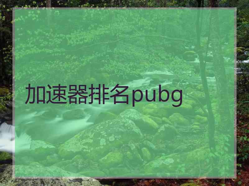 加速器排名pubg