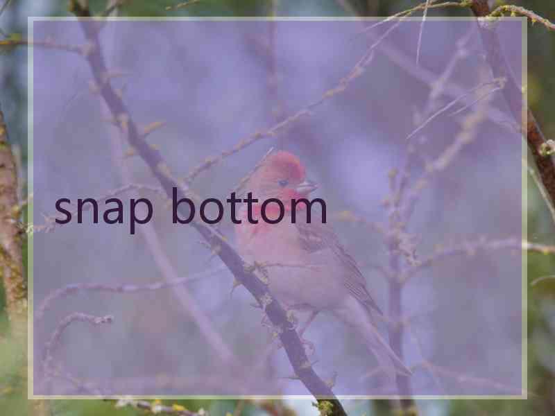 snap bottom