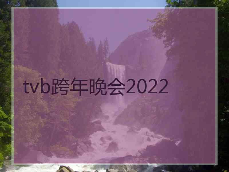 tvb跨年晚会2022