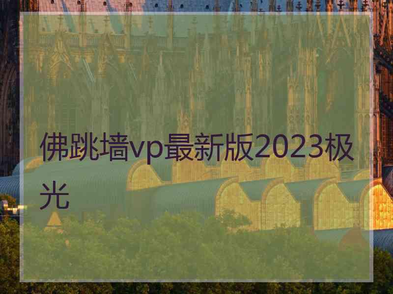 佛跳墙vp最新版2023极光