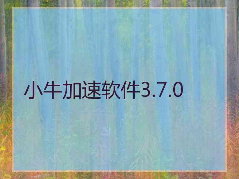 小牛加速软件3.7.0